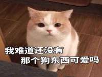 北京奥创龙跃体育设施工程有限公司