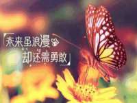 北京奥创龙跃体育设施工程有限公司