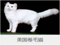 北京奥创龙跃体育设施工程有限公司