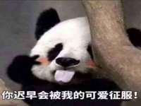 北京奥创龙跃体育设施工程有限公司
