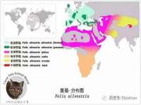 北京奥创龙跃体育设施工程有限公司