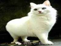 北京奥创龙跃体育设施工程有限公司