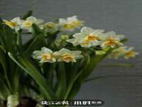 北京奥创龙跃体育设施工程有限公司