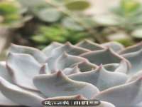 北京奥创龙跃体育设施工程有限公司