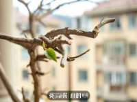 北京奥创龙跃体育设施工程有限公司