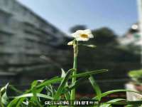 北京奥创龙跃体育设施工程有限公司