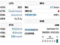 北京奥创龙跃体育设施工程有限公司