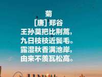 北京奥创龙跃体育设施工程有限公司