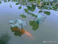 北京奥创龙跃体育设施工程有限公司