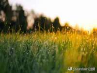 北京奥创龙跃体育设施工程有限公司