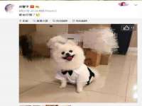 北京奥创龙跃体育设施工程有限公司