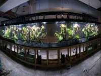 北京奥创龙跃体育设施工程有限公司