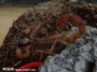 北京奥创龙跃体育设施工程有限公司