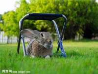 北京奥创龙跃体育设施工程有限公司
