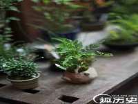 北京奥创龙跃体育设施工程有限公司