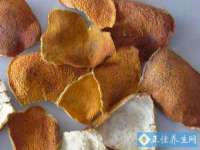 北京奥创龙跃体育设施工程有限公司
