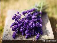 北京奥创龙跃体育设施工程有限公司