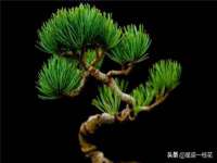 北京奥创龙跃体育设施工程有限公司