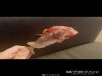 北京奥创龙跃体育设施工程有限公司